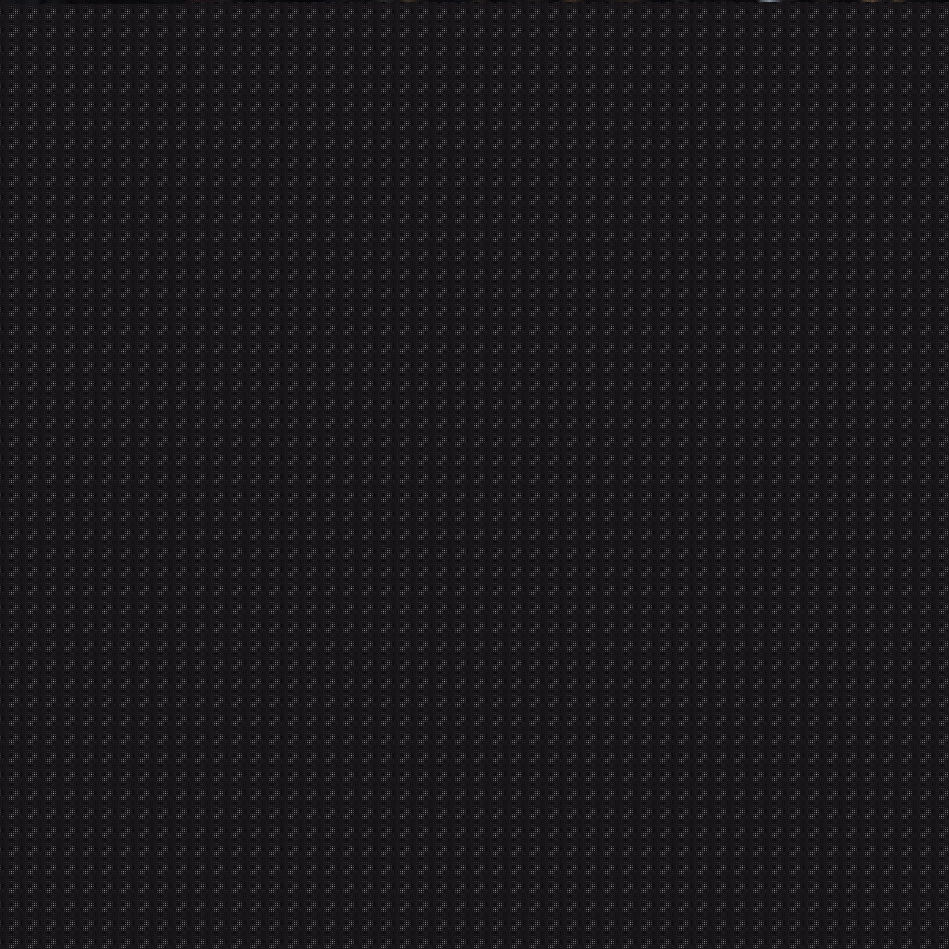 归化战略的