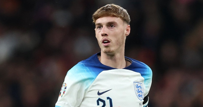 不仅伤害了 不仅伤害了